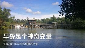 穿越遗弃的森林